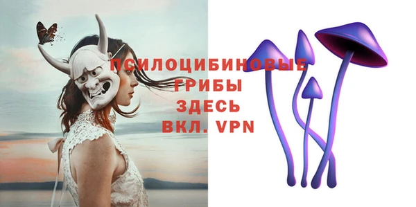 бутират Богородицк