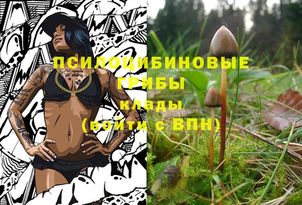 а пвп мука Богородск