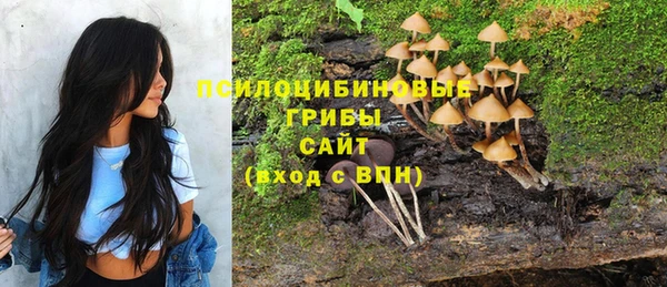 кокаин премиум Белокуриха